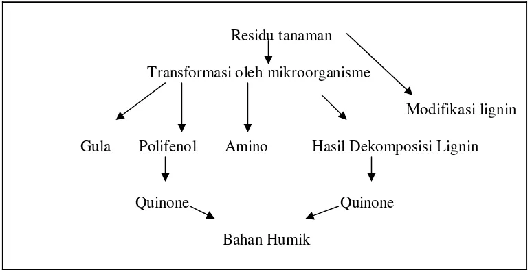 Gambar 1. Mekanisme Pembentukan Asam Humik (Tan, 1993) 
