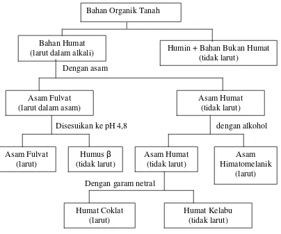 Gambar 2. Bagan Alur Pemisahan Humat Menjadi berbagai fraksi Humat (Tan, 1993).  