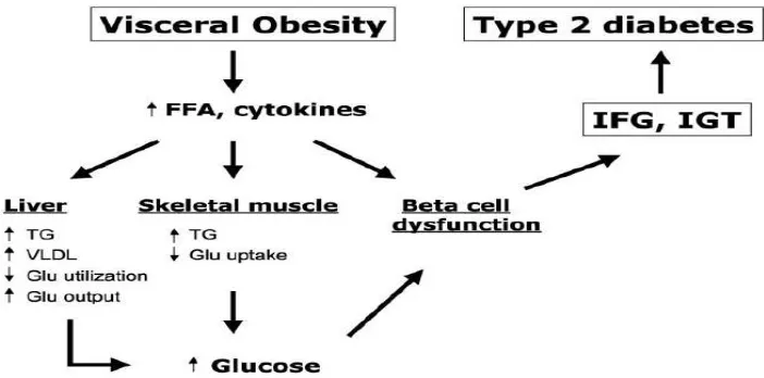 Gambar 2.1 Patogenesis intoleransi glukosa pada penderita obesitas, dikutip dari  Bray 2004  