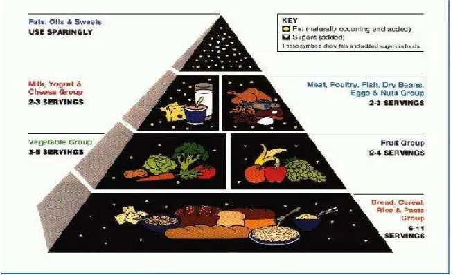Gambar 3.1 Piramida makanan dikutip dari Markus dkk, 2005 