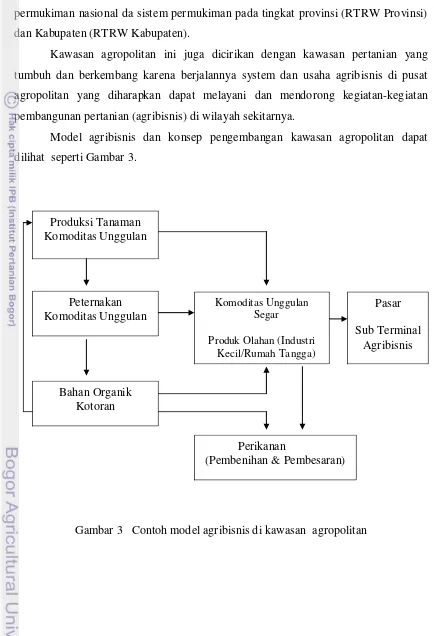 Gambar 3   Contoh model agribisnis di kawasan  agropolitan 