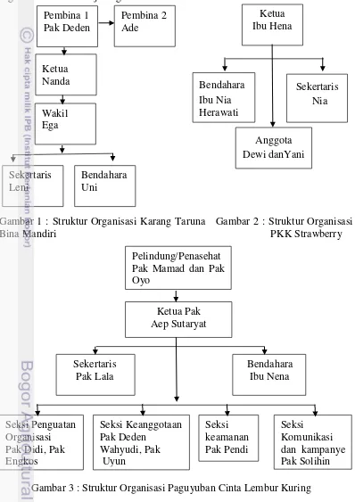 Gambar 1 : Struktur Organisasi Karang Taruna   Gambar 2 : Struktur Organisasi 