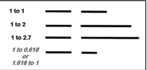 Gambar 1. Konsep golden proportion.8