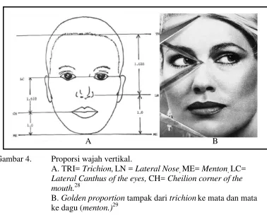 Gambar 3. Levin’s diagnostic grid. 8,12 