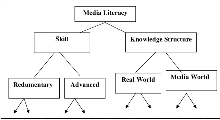 Gambar 1. Struktur pengetahuan literasi media  (Potter, 2001).