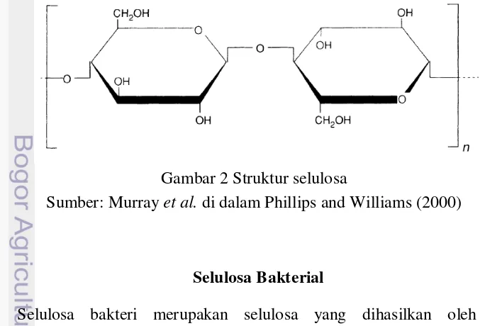 Gambar 2 Struktur selulosa 