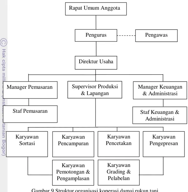 Gambar 9 Struktur organisasi koperasi damai rukun tani  Jumlah Tenaga Kerja  