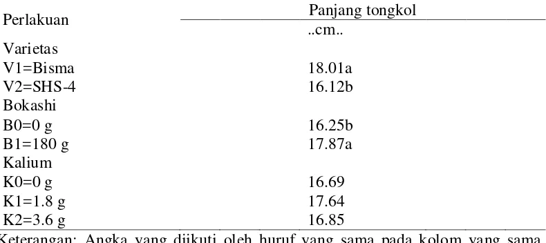 Tabel 6. Rataan Panjang Tongkol dari varietas, bokashi, dan kalium. 
