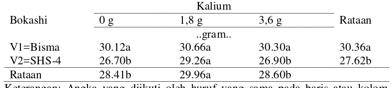 Tabel 12. Rataan berat 100 biji dari  interaksi antara varietas dan kalium. 