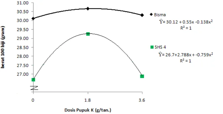 Gambar 1. Grafik hubungan antara varietas dan pupuk K terhadap berat 100 biji. 