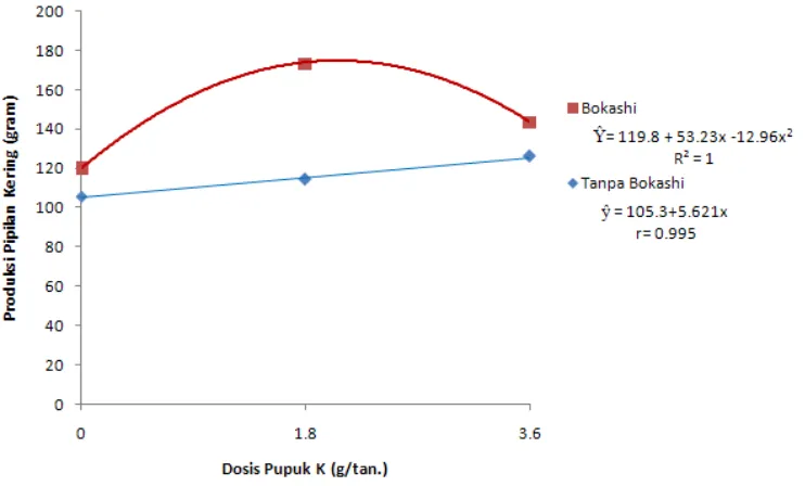 Gambar 2. Grafik hubungan antara pupuk K dan bokashi terhadap produksi pipilan kering