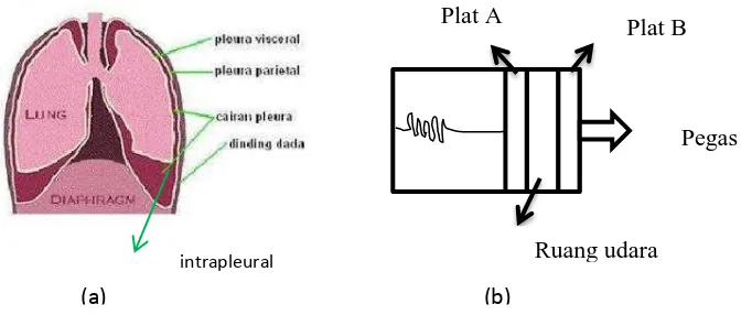 Gambar 4.(a) Gambar Komponen Paru-paru, (b) Gerak piston yang Setara dengan Respirasi