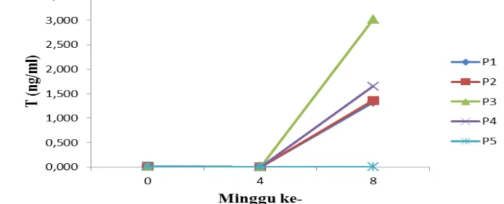 Gambar 6 Konsentrasi T dalam darah ikan sidat setiap perlakuan selama pemeliharaan. Keterangan: P1: 10 IU PMSG/kg+0,01 mg AD/kg, P2: 20 IU PMSG/kg+0,01 mg AD/kg, P3: PMSG/kg+0,01 mg AD/kg, P3: 10 IU PMSG/kg+0,01 mg AD/kg+150 μg MT/kg, P4: 20 IU PMSG/kg+0,01 mg AD/kg+150 μg MT/kg, P5: kontrol 
