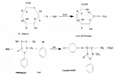 Gambar 2. Pembentukan Senyawa Berwarna Merah (Kuinonimin) pada Reaksi Enzimatis dengan Reagen GOD-PAP (Henry dkk., 1974)  