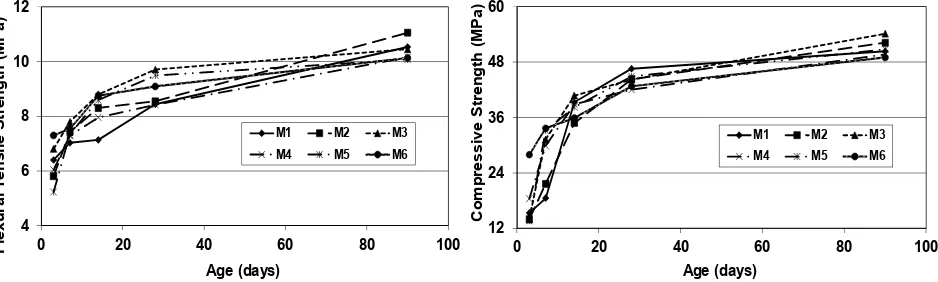 Fig. 3. Flexural tensile strength and compressive strength development 