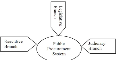 Figure 3. Public Procurement System:  A Check and Balance Power   