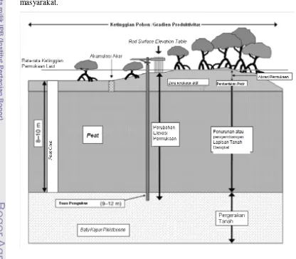 Gambar 2.1. Rod surface elevation tables (RSETs), Daftar Tuas pengukur Elevasi Permukaan digunakan untuk mengukur perubahan elevasi melalui ketinggian pohon/gradien produktivitas (Duvail and Hamerlynck, 2003; Mc