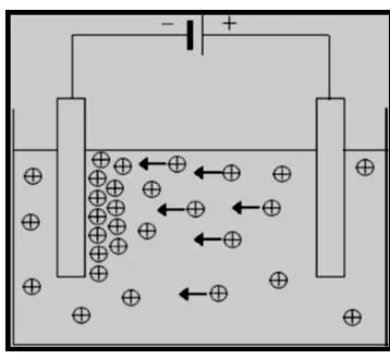 Gambar 5 Proses elektoforesis deposisi  