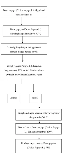 Gambar 4. Pembuatan Gel       