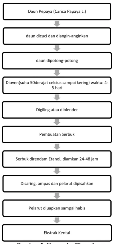 Gambar 5. Kerangka Ekstrak 