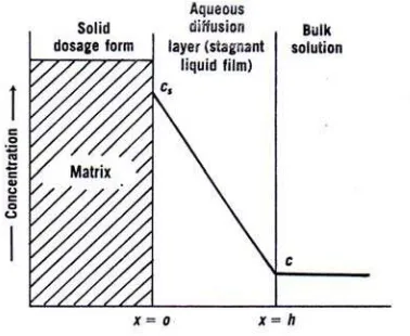 Gambar 2. Disolusi obat dari suatu padatan matriks (Martin, et al, 1993) 