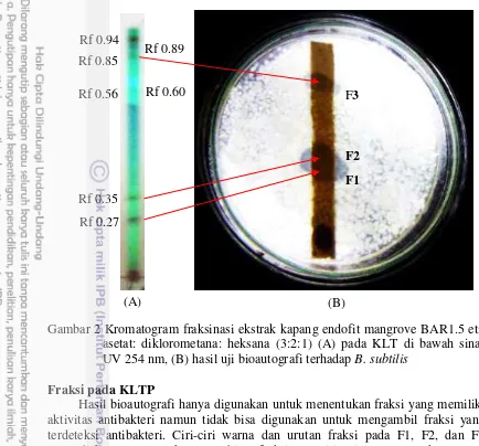 Gambar 2 Kromatogram fraksinasi ekstrak kapang endofit mangrove BAR1.5 etil  