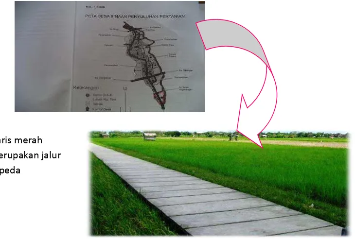 Gambar 1. Rencana jalur “ Rice Field Cycling” 