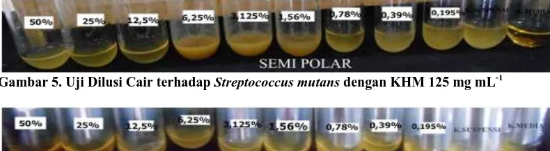 Gambar 5. Uji Dilusi Cair terhadap Streptococcus mutans dengan KHM 125 mg mL-1  