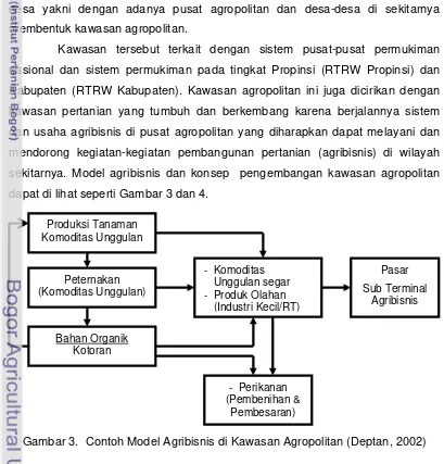 Gambar 3.  Contoh Model Agribisnis di Kawasan Agropolitan (Deptan, 2002) 