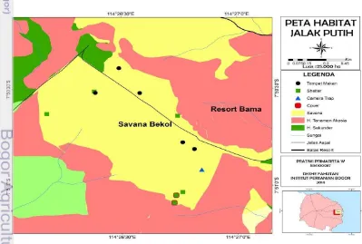 Gambar 3 Sebaran penggunaan habitat jalak putih di Savana Bekol 