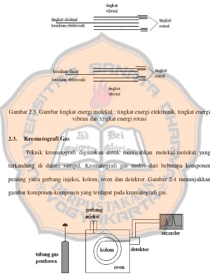 Gambar 2.3  Gambar tingkat energi molekul : tingkat energi elektronik, tingkat energi 