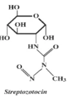 Gambar 2. Struktur Kimia Streptozotocin (Szkudelski, 2012) 