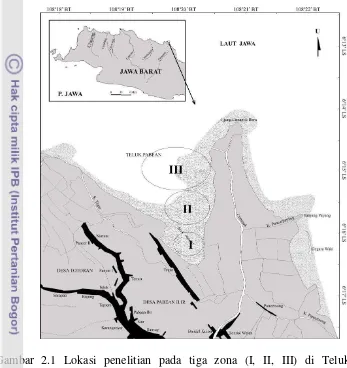 Gambar 2.1 Lokasi penelitian pada tiga zona (I, II, III) di Teluk Pabean 