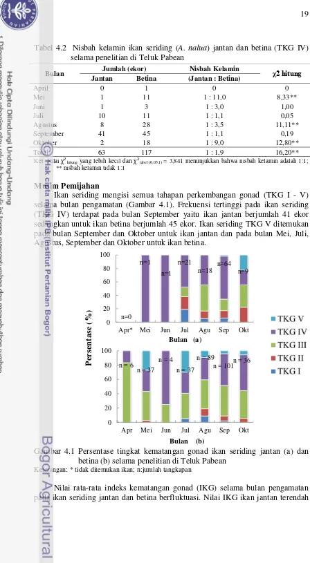Tabel 4.2  Nisbah kelamin ikan seriding (A. nalua) jantan dan betina (TKG IV) selama penelitian di Teluk Pabean 