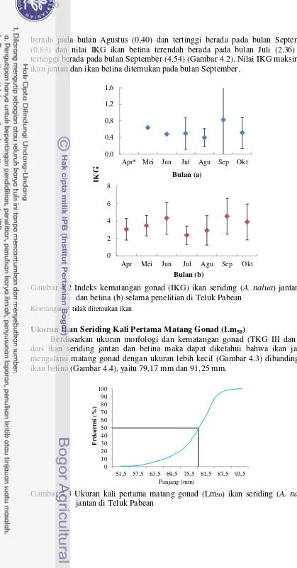 Gambar 4.2 Indeks kematangan gonad (IKG) ikan seriding (A. nalua) jantan (a) 