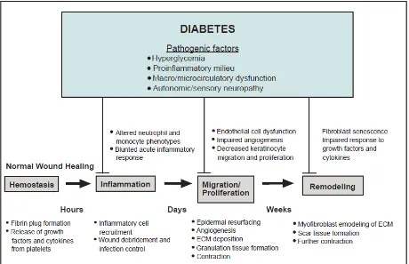 Gambar 2.3. Patofisiologi kegagalan proses penyembuhan pada diabetes Dikutip sesuai aslinya dari kepustakaan nomor 8  