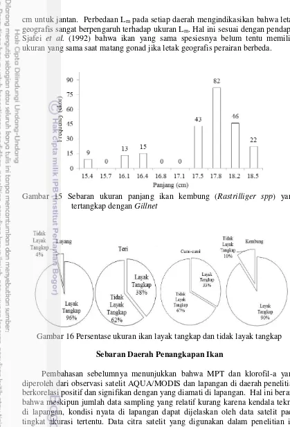 Gambar 15 Sebaran ukuran panjang ikan kembung (Rastrilliger spp) yang 