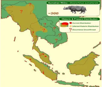 Gambar 1  Peta penyebaran Badak sumatera 8
