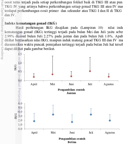 Gambar 8  Indeks kematangan gonad (IKG) ikan antara jantan dan betina 