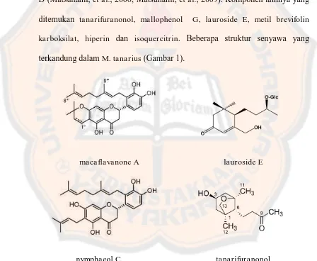 Gambar 1. Struktur senyawa yang terkandung dalam M. tanarius (Matsunami, et al., 2006; Kawakami et al., 2008; Phomart, et al., 2005) 