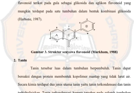Gambar 3. Struktur senyawa flavonoid (Markham, 1988)  