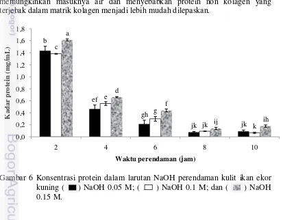 Gambar 6 Konsentrasi protein dalam larutan NaOH perendaman kulit ikan ekor 