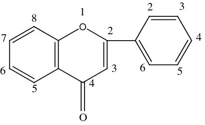 Gambar 2.42 Struktur flavonoida golongan flavon 