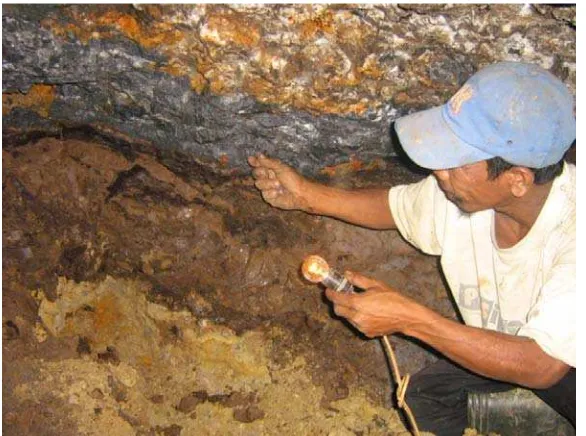 Gambar 4. Singkapan vein mineralisasi logam dasar di daerah Cisungsang, Lebak, Banten 