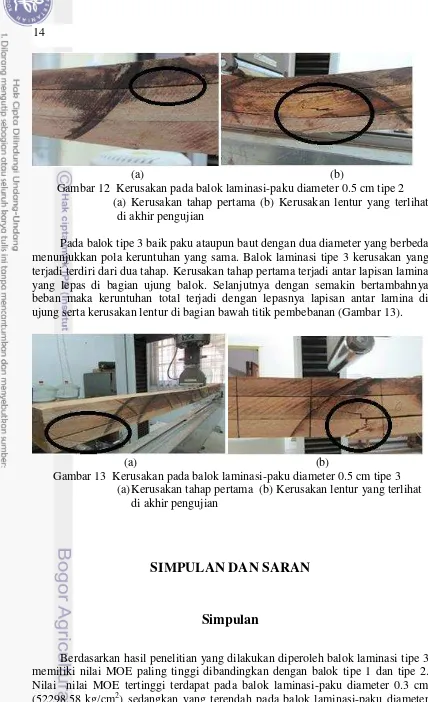 Gambar 12  Kerusakan pada balok laminasi-paku diameter 0.5 cm tipe 2  