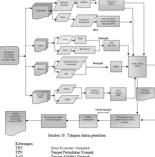 Gambar 10.  Tahapan dalam penelitian 