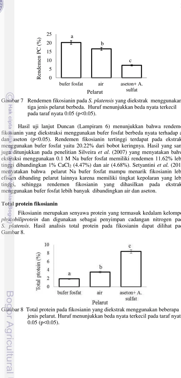 Gambar 7   Rendemen fikosianin pada S. platensis yang diekstrak  menggunakan  tiga jenis pelarut berbeda