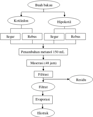 Gambar 2 Diagram alir pembuatan ekstrak metanol buah bakau. Fi