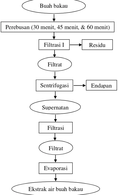 Gambar 3 Diagram alir pembuatan ekstrak air buah bakau. 