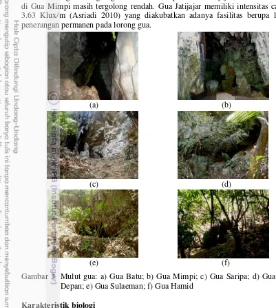 Gambar 3  Mulut gua: a) Gua Batu; b) Gua Mimpi; c) Gua Saripa; d) Gua Batu 